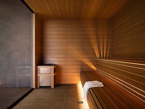 1 Square Phillips sauna