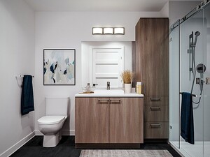 Eleva bathroom with high-end finishes