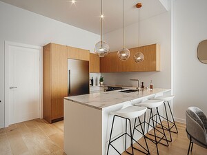 Zenith Condos modern kitchen